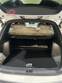 بي واي دي سونغ L DM-i